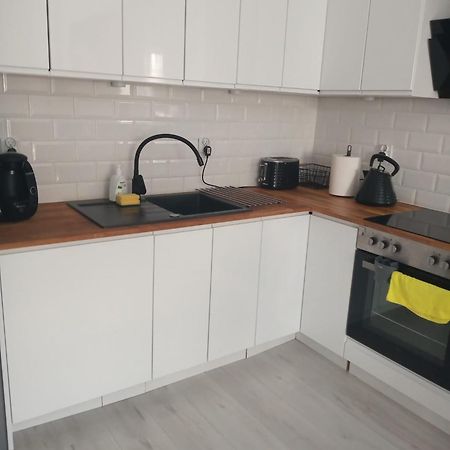 Apartament W Starym Mlynie Loft Rozanka Вроцлав Екстер'єр фото