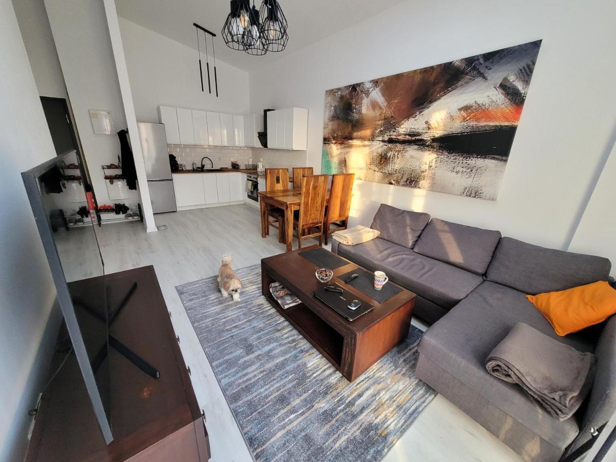 Apartament W Starym Mlynie Loft Rozanka Вроцлав Екстер'єр фото