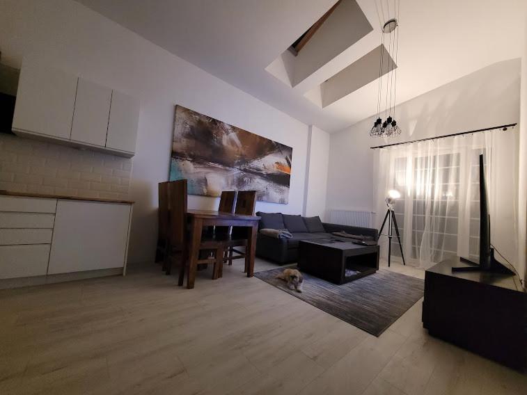 Apartament W Starym Mlynie Loft Rozanka Вроцлав Екстер'єр фото